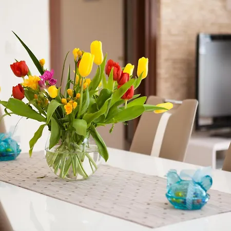 Apartment Split Lägenhet
